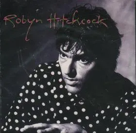 Robyn Hitchcock
